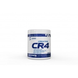 INSPORT CR4 240 gram